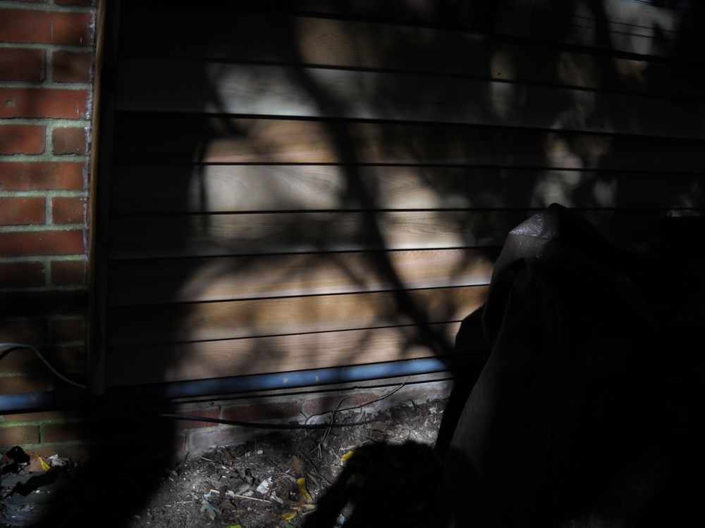 Photo of RoofPRO