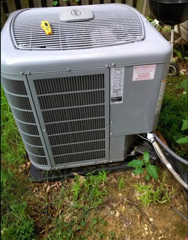 Photo of Bloss Service Replacement
