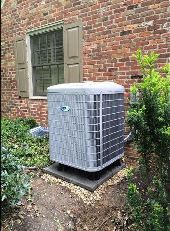 Photo of Bloss Service Replacement