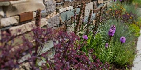 Photo of Phillips Garden