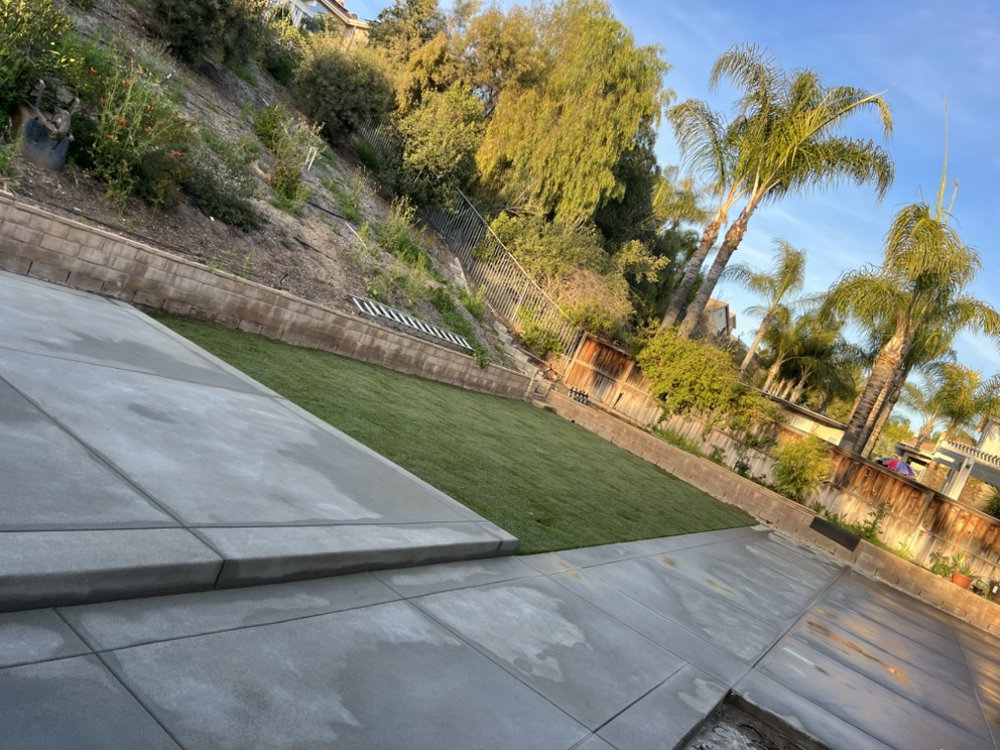 Photo of New Generation Landscape