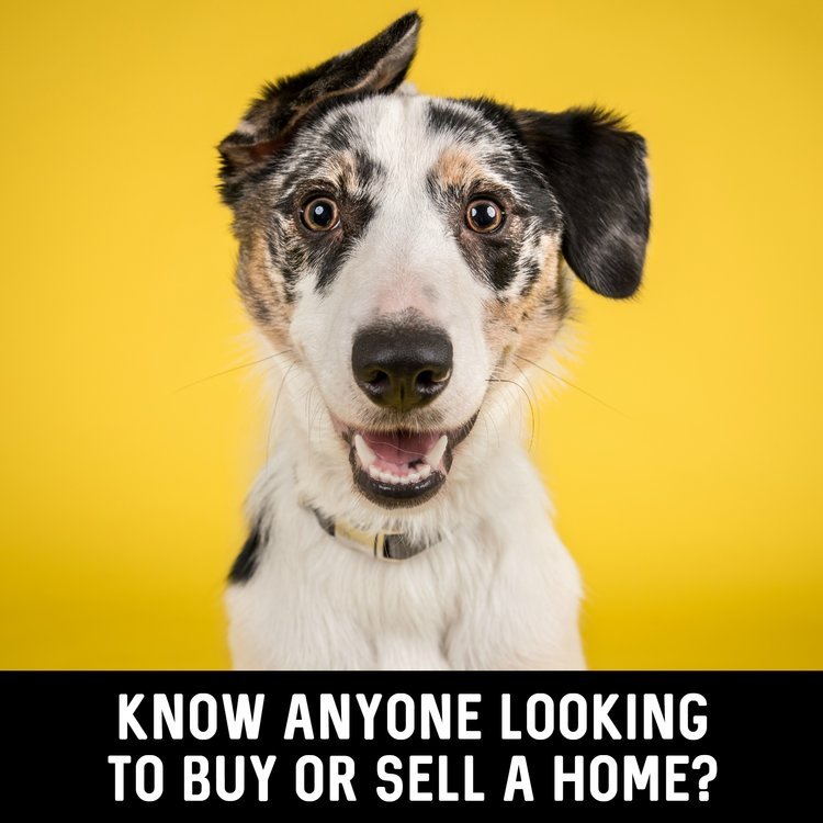 Photo of Jo Parker Realtor