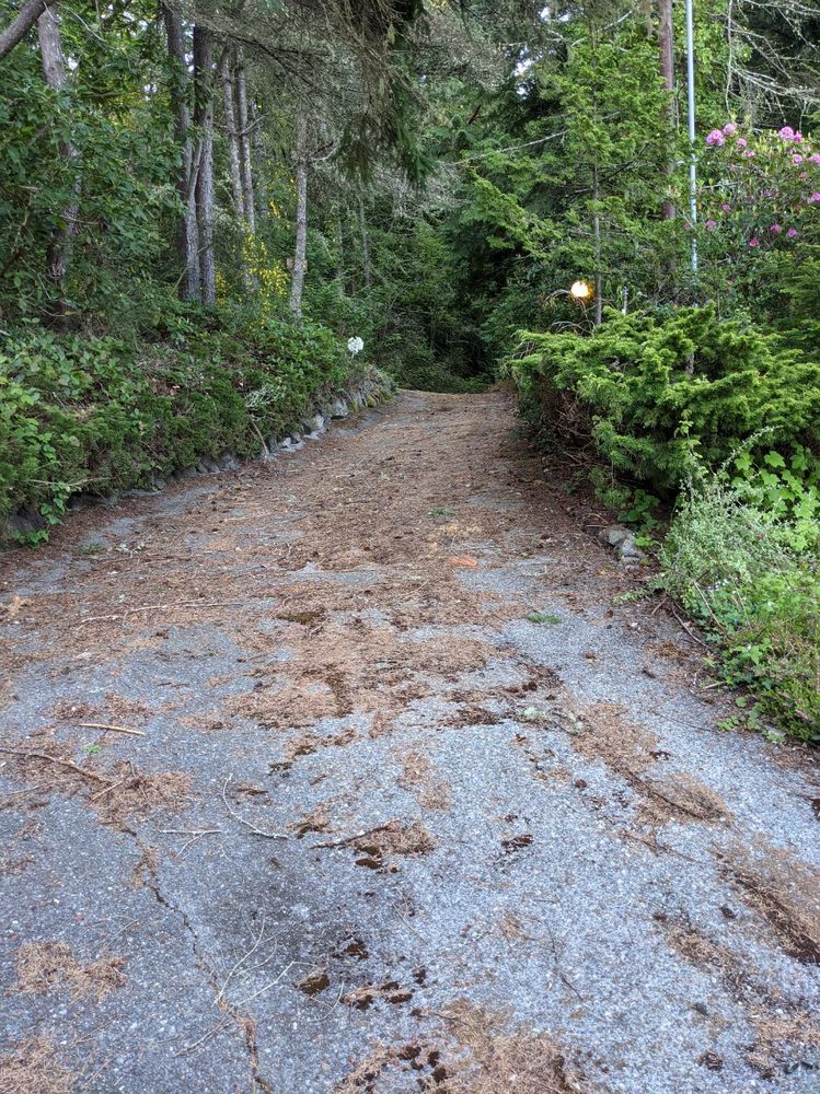 Photo of Santos Landscaping NW