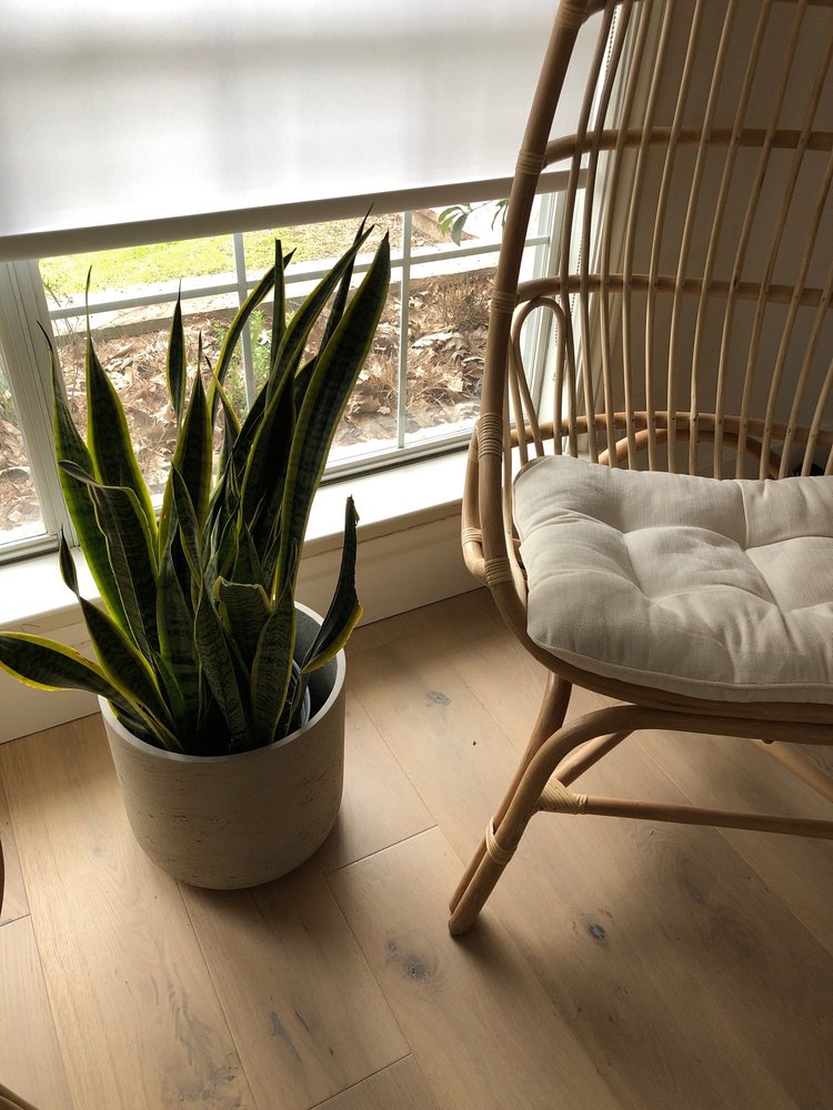 Photo of Austin Hardwood Flooring