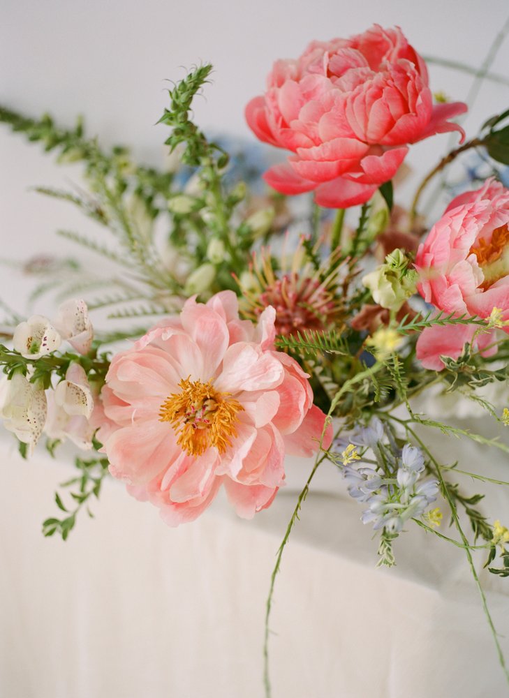 Photo of Wildflower