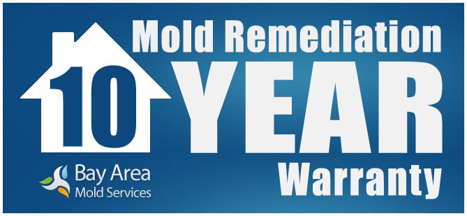 Photo of Bay Area Mold Services
