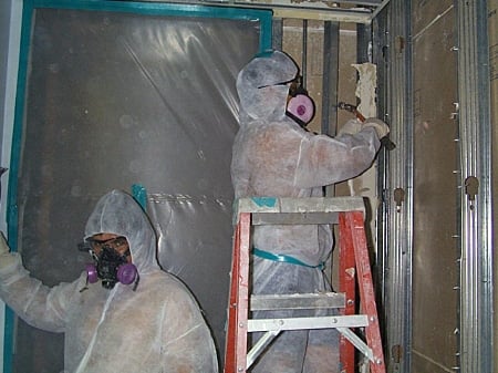 Photo of Bay Area Mold Services