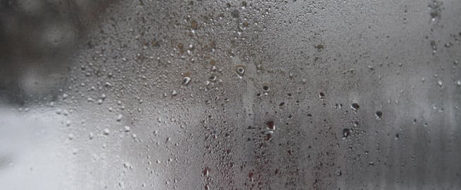 Photo of Bay Area Mold Services