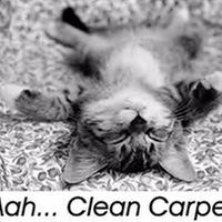 Photo of Lov 'N Kare Carpet Center