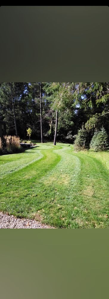 Photo of A Cut Above Lawn Care