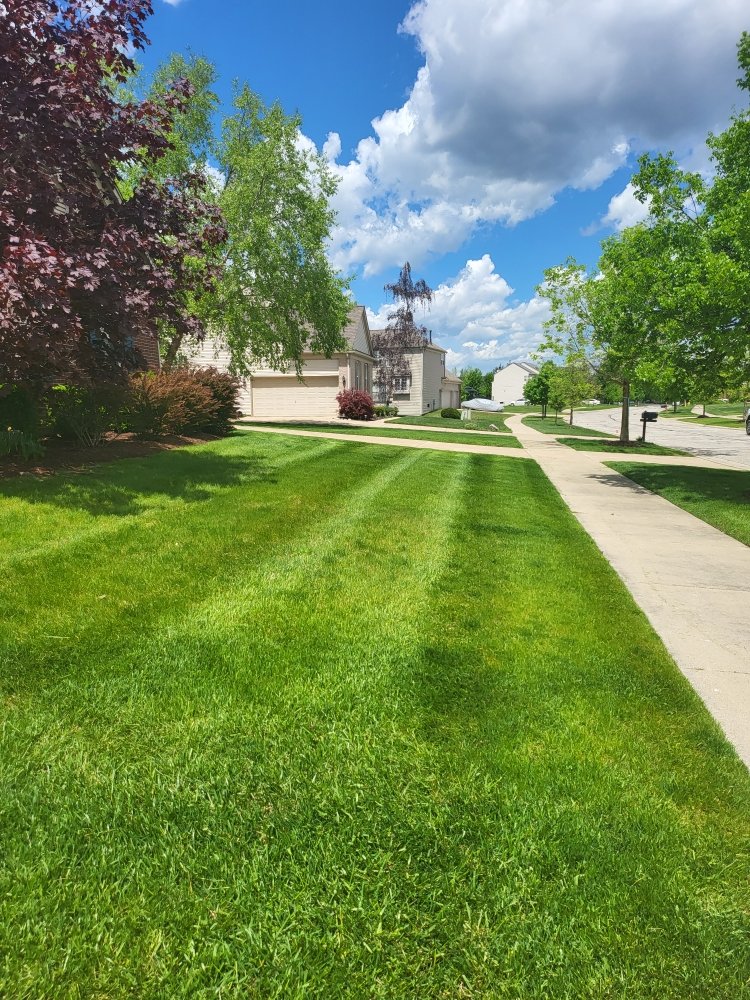 Photo of A Cut Above Lawn Care
