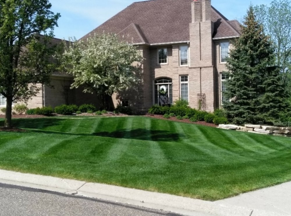 Photo of A Cut Above Lawn Care