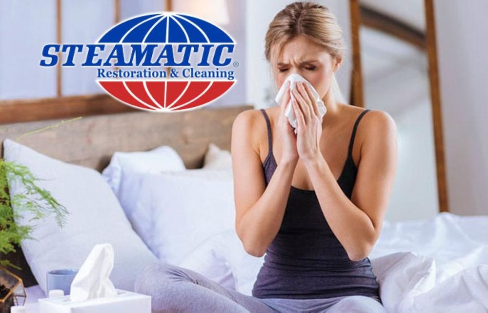 Photo of Steamatic