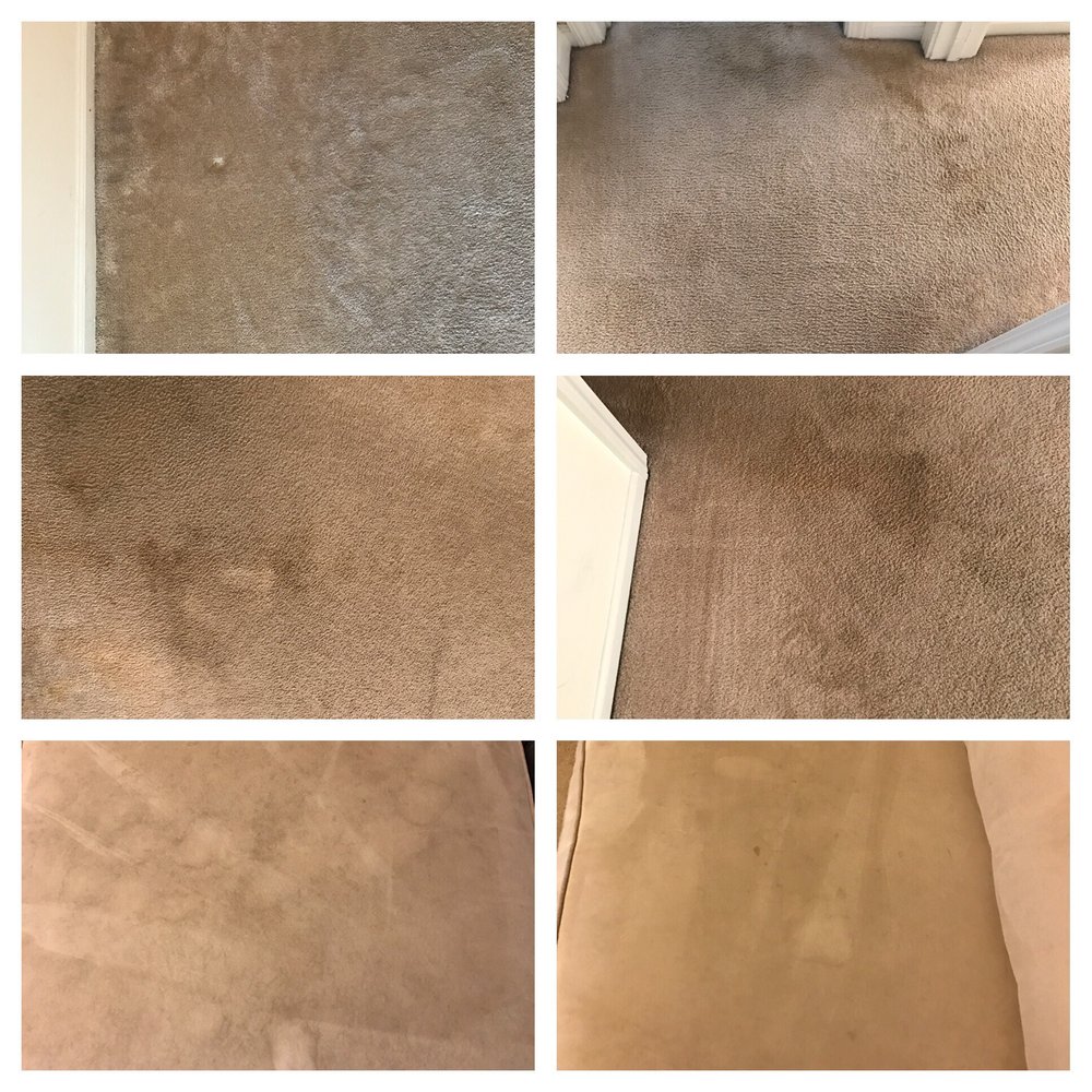 Photo of White Knight Steamer Professional Carpet & Upholstery Cleaner