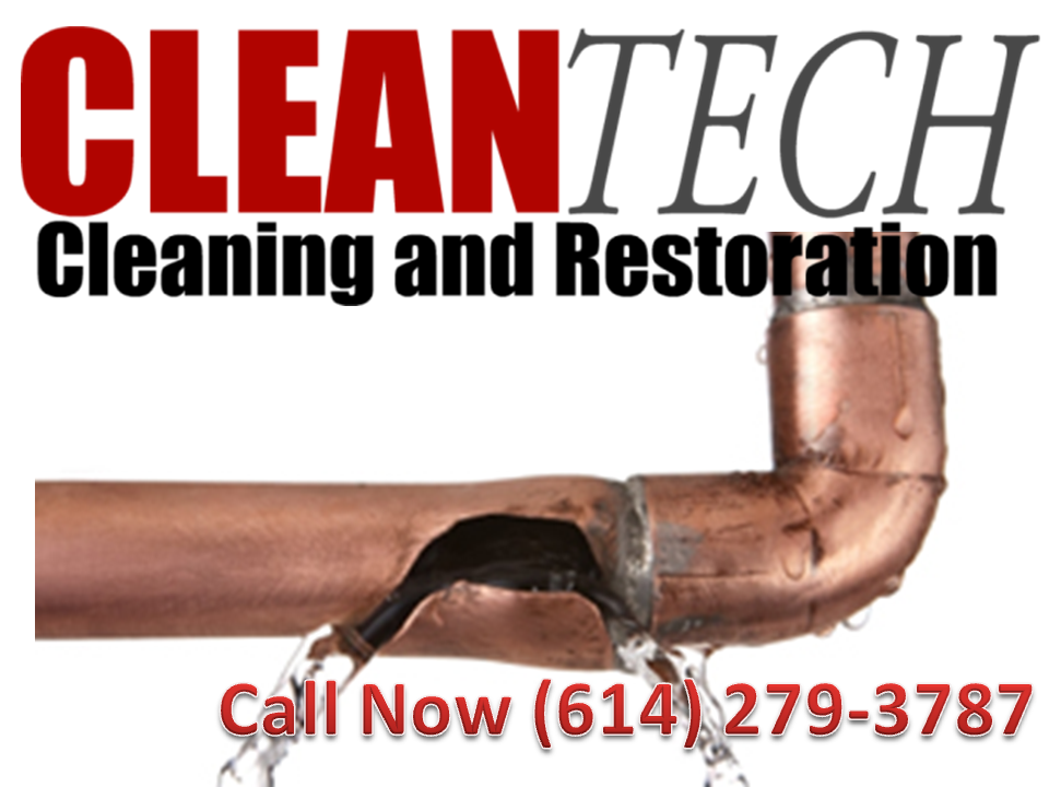 Photo of Cleantech cleaning and restoration