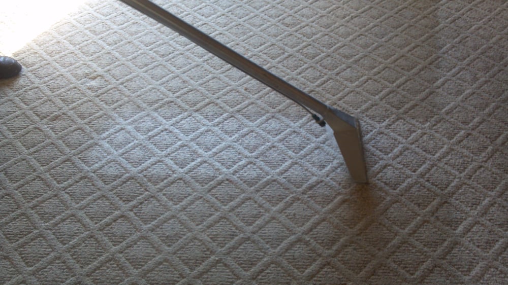 Photo of Conscientious Carpet Care