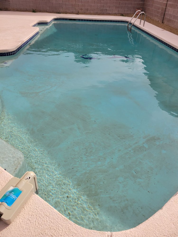 Photo of Tiger Shark Pool Service
