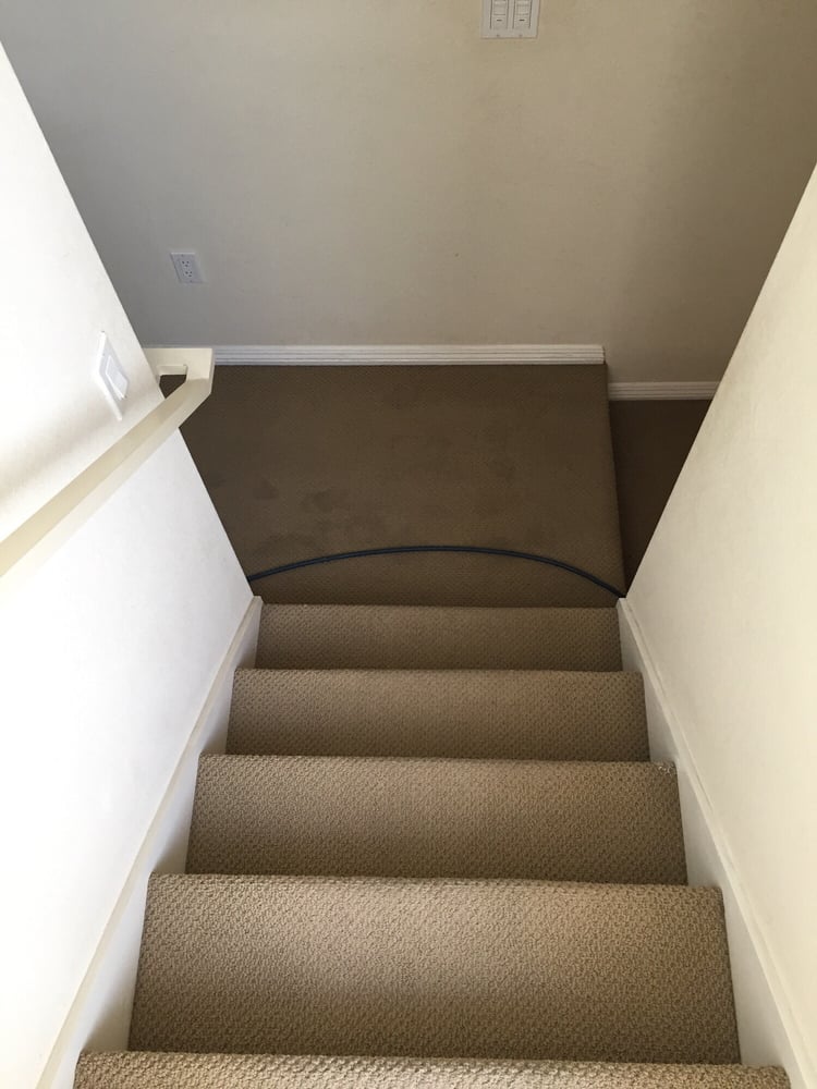 Photo of City's Finest Carpet Care