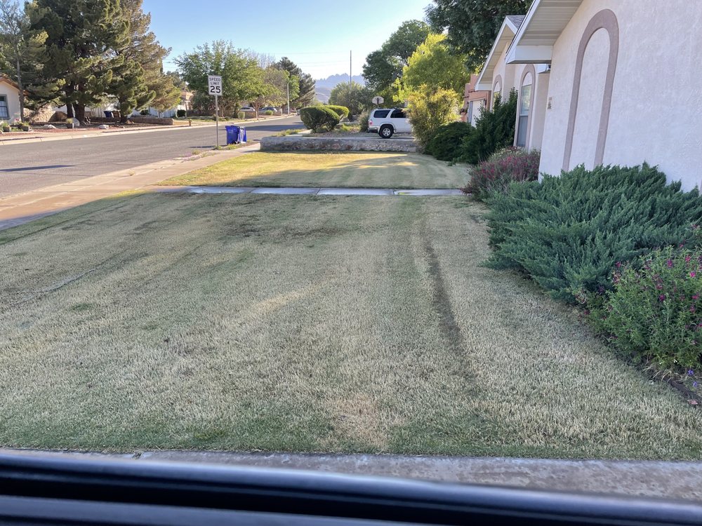 Photo of Dreamscape Landscaping