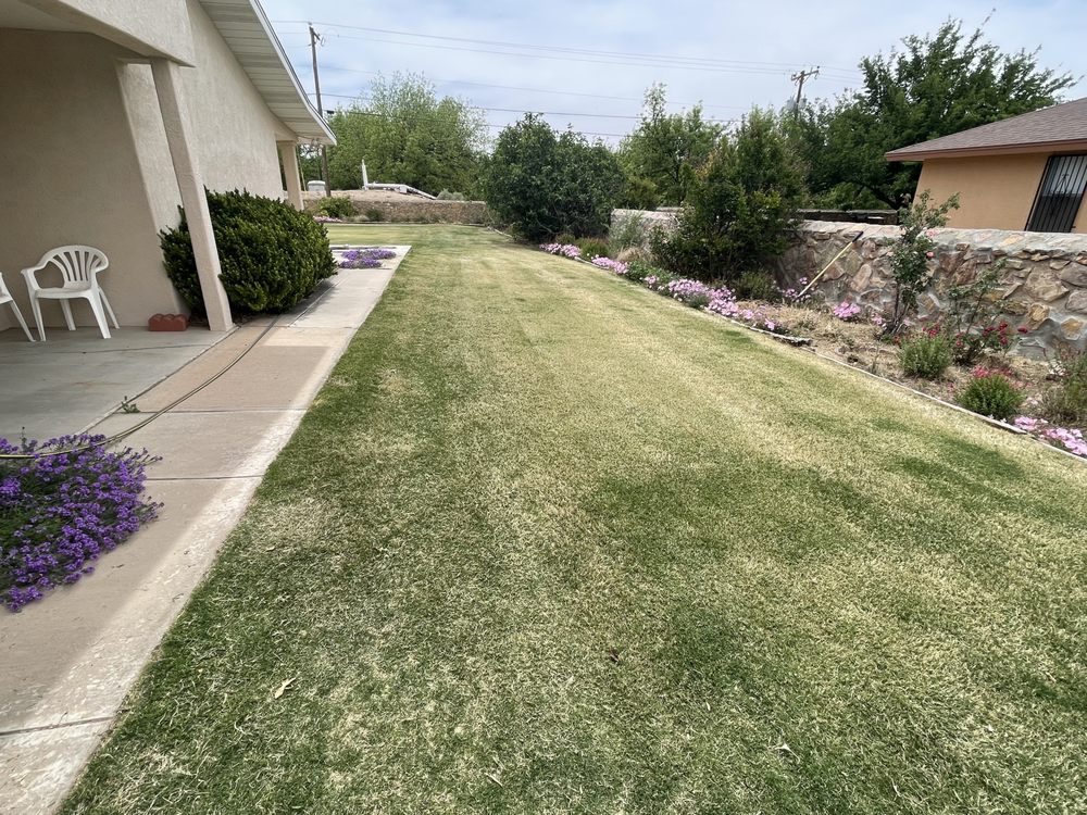Photo of Dreamscape Landscaping