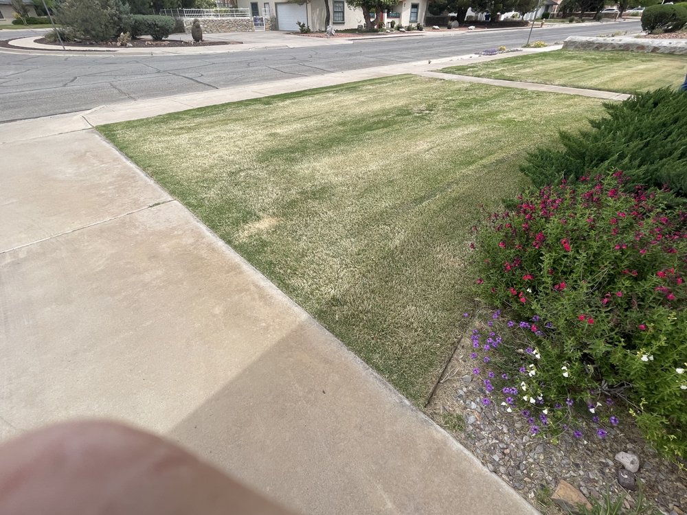 Photo of Dreamscape Landscaping