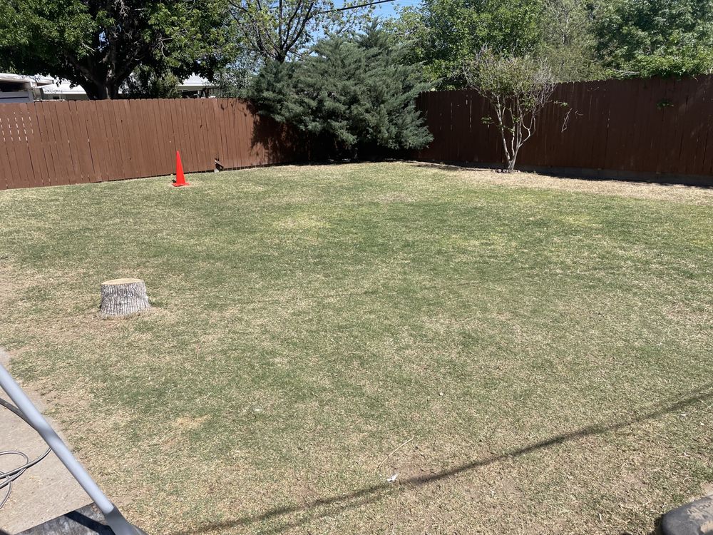 Photo of Dreamscape Landscaping