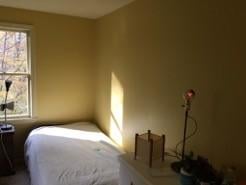 Photo of Costa Quality Painting