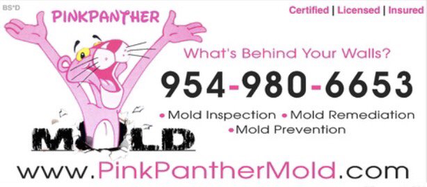Photo of Pink Panther Mold