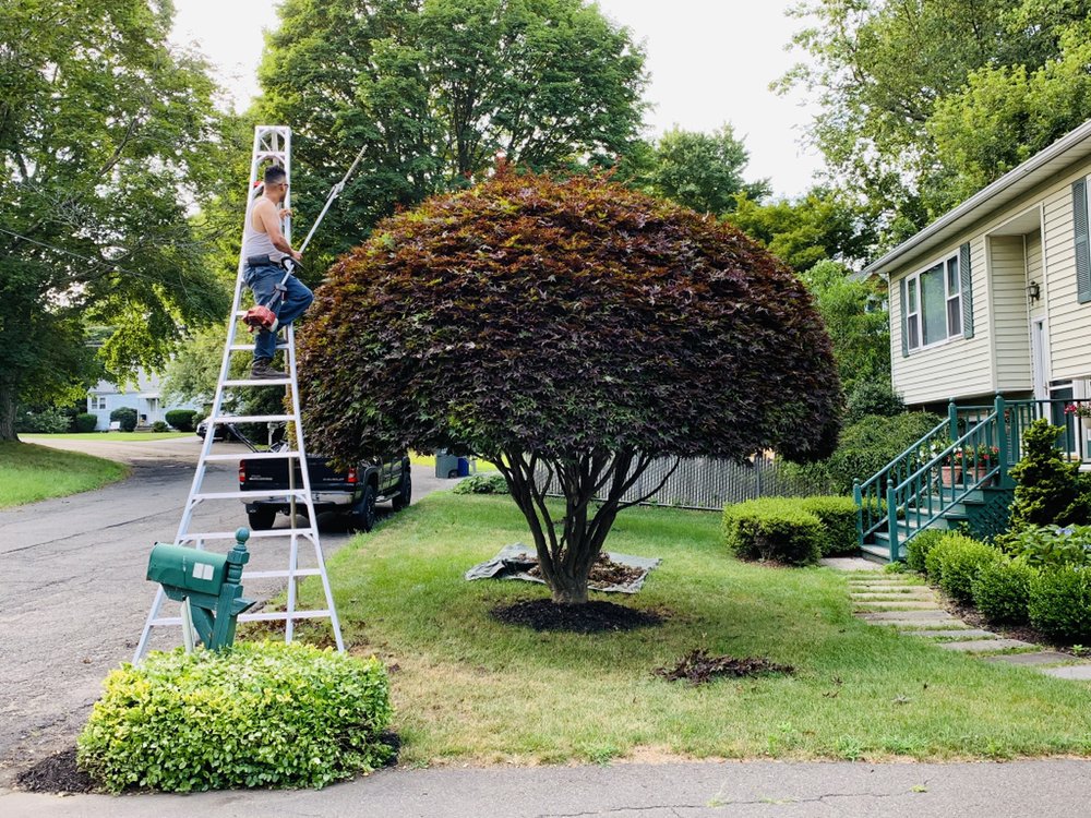 Photo of BJA Bros Landscaping Service