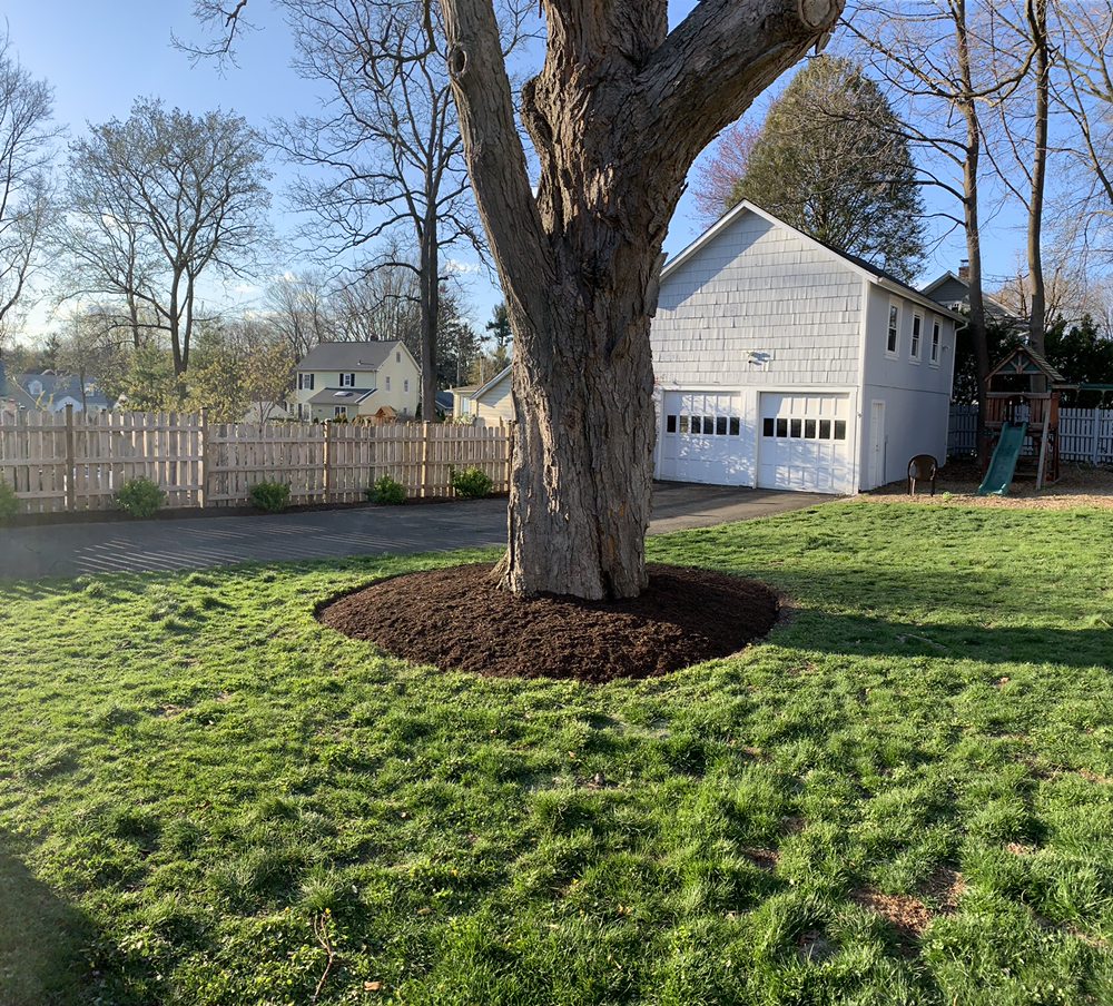Photo of BJA Bros Landscaping Service