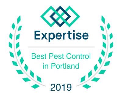 Photo of Allied Pest and Wildlife