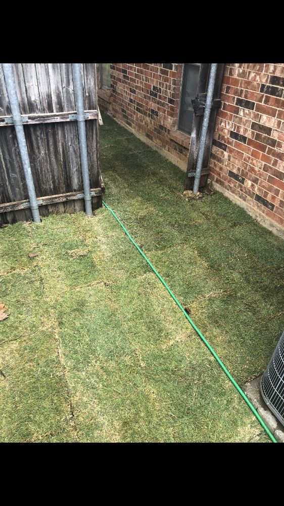 Photo of DaLite LawnCare And landscaping