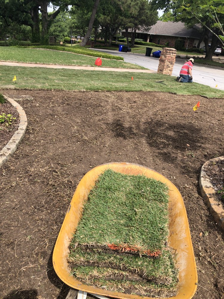 Photo of DaLite LawnCare And landscaping