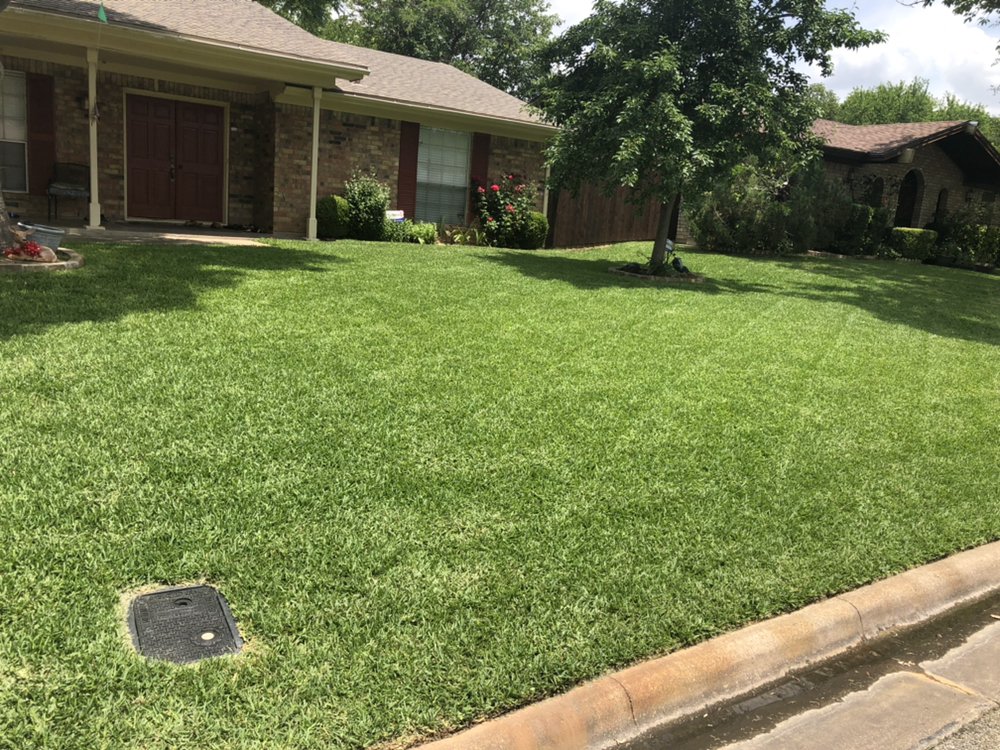 Photo of DaLite LawnCare And landscaping