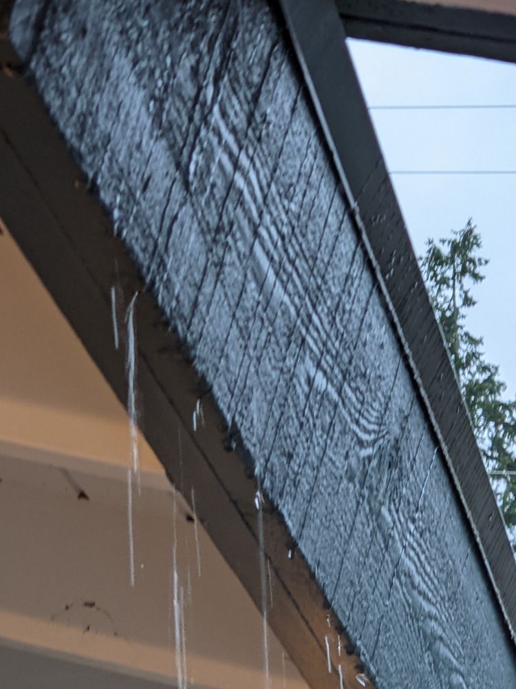 Photo of Gutter & Roof Solutions NW