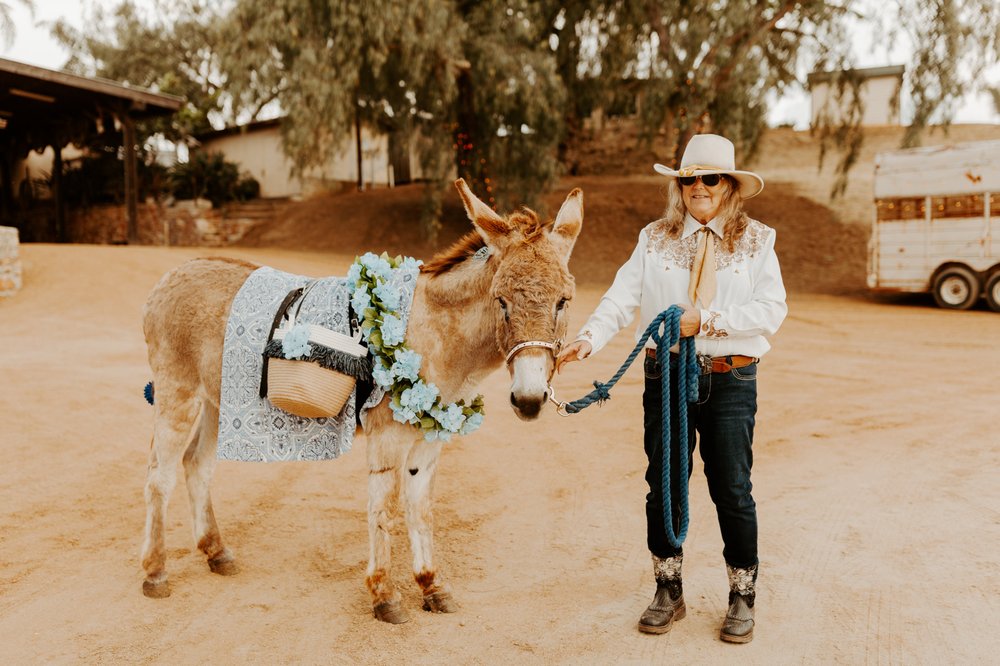 Photo of Party Pony Express Pony Rides