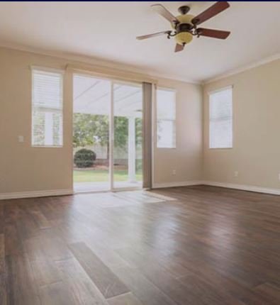 Photo of NewGen Floors & More