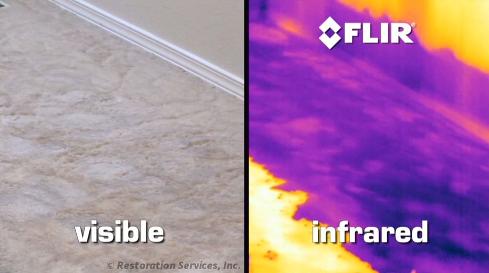 Photo of Flood Restoration Services