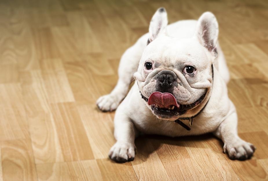 Photo of A'Jack Flooring