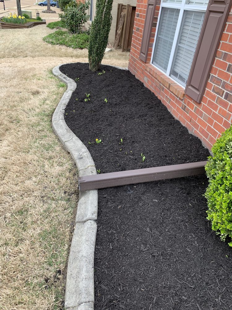 Photo of Mow & Blow Lawn Service