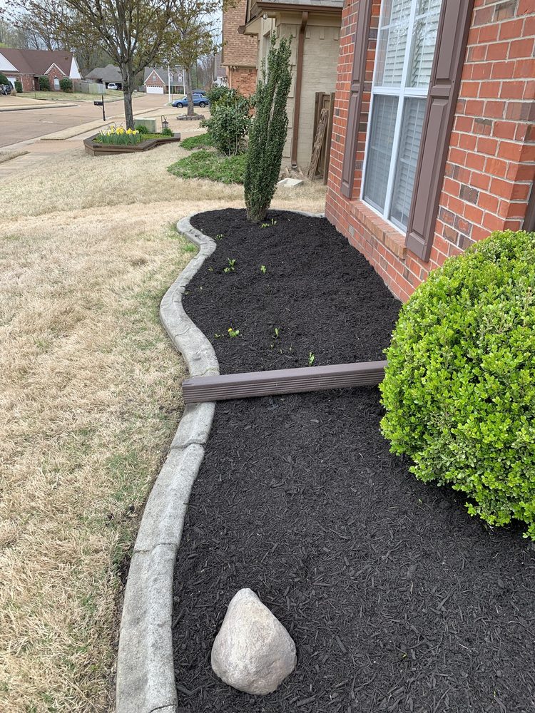 Photo of Mow & Blow Lawn Service