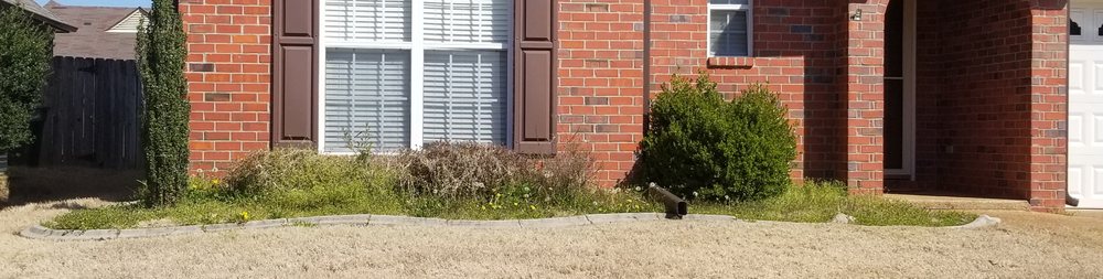 Photo of Mow & Blow Lawn Service