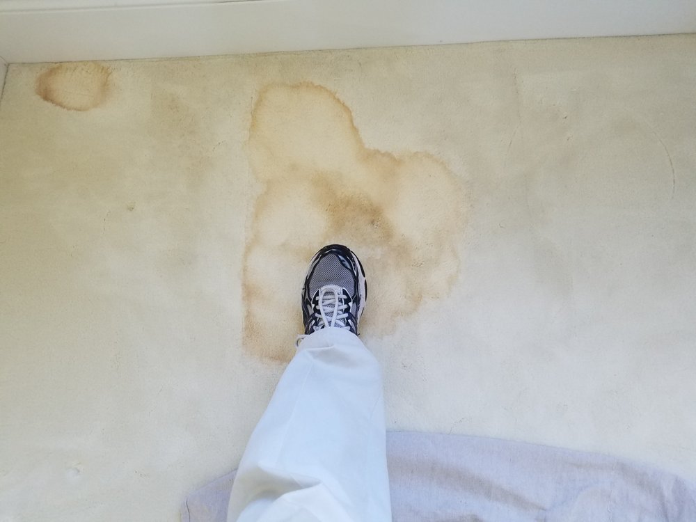 Photo of UK Carpet Cleaning