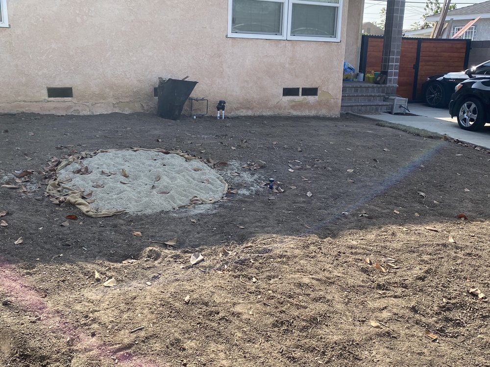 Photo of Rock Hard Turf