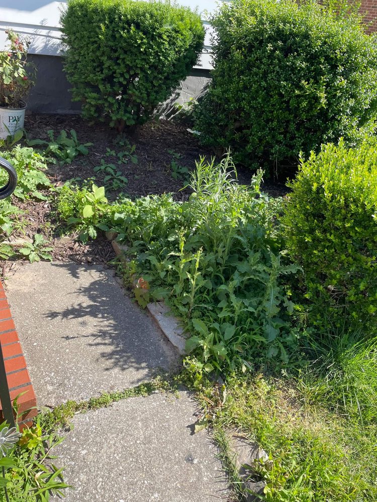 Photo of L&A Custom Landscaping & Lawn Care