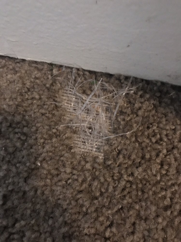 Photo of LA Carpet Repair and Cleaning