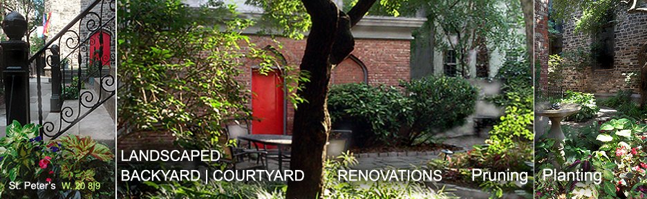 Photo of H LINE ARBORIST