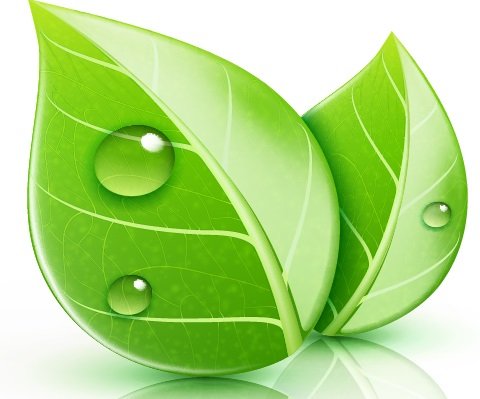 Photo of Greener Method Cleaning & Restoration