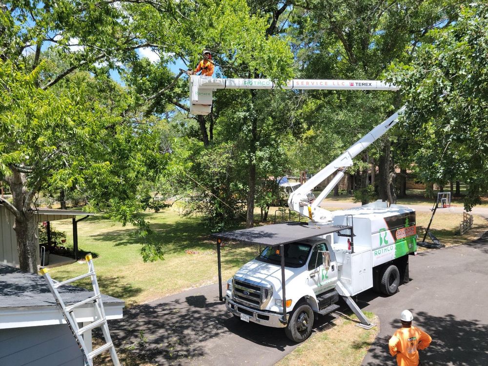 Photo of Rothco Tree Service