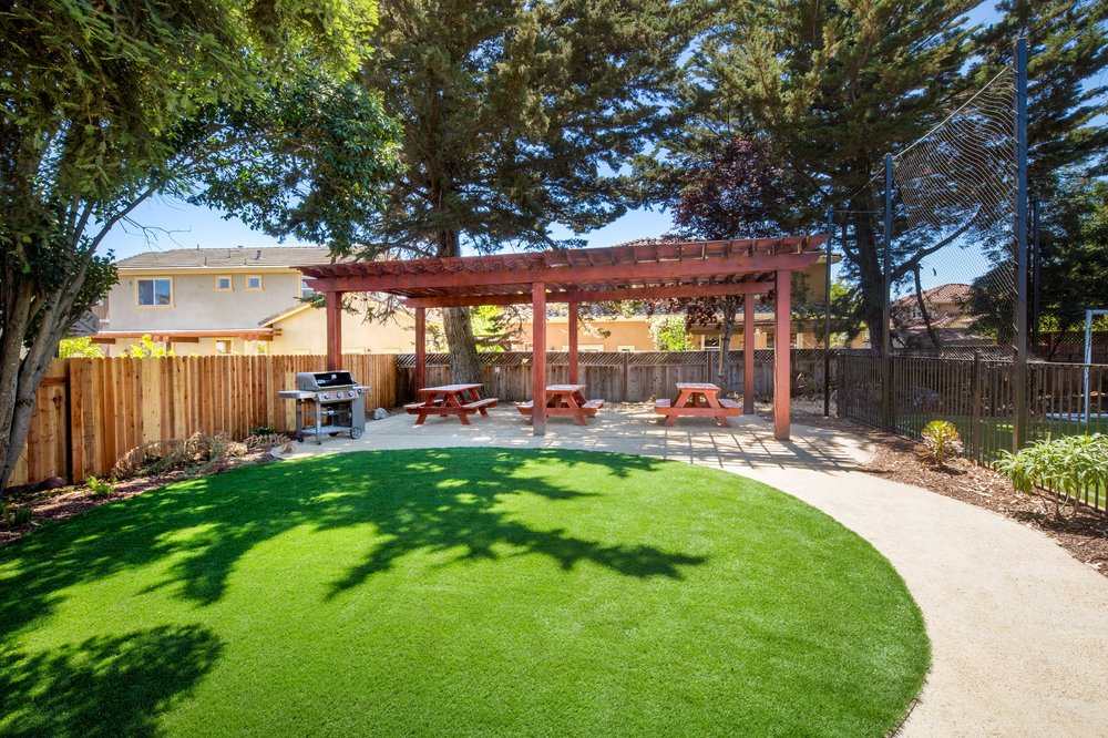 Photo of Watersavers Turf